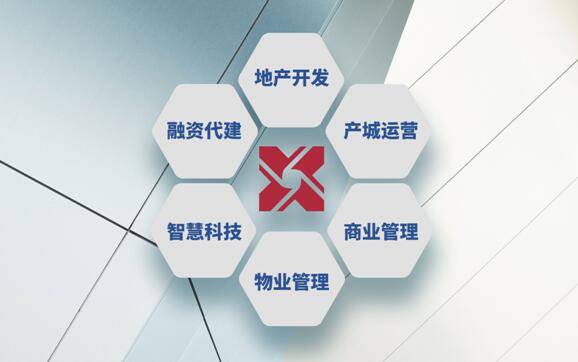 科技奠定行业发展新格局 鑫苑集团张勇浅谈地产变局中的技术服务